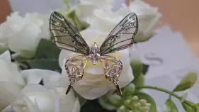 Брошь Махаон 6211337