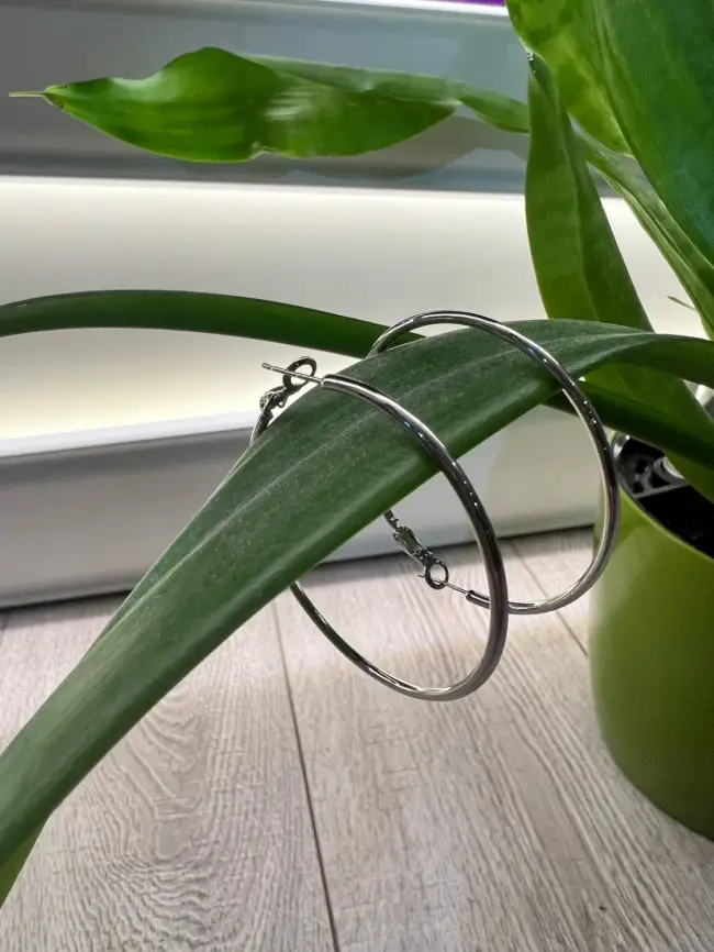 Серьги Кольцо Б330027 фото 3