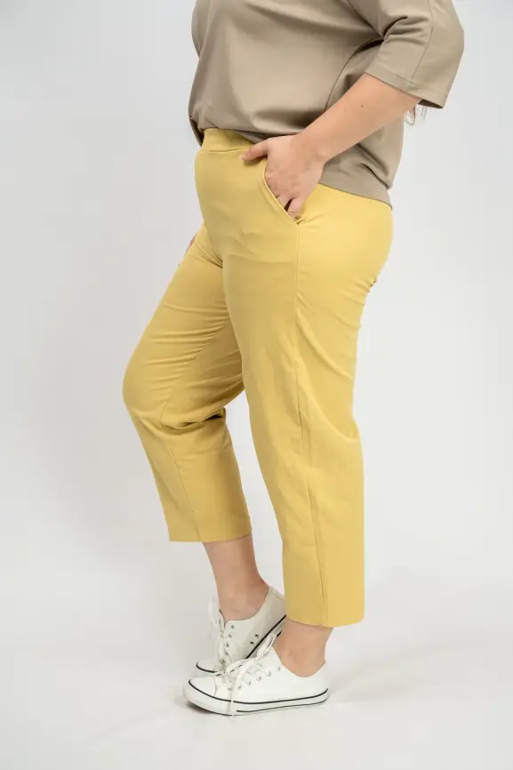 Брюки размеры 48-58 ЭттоПлюс 0021-1 фото 18