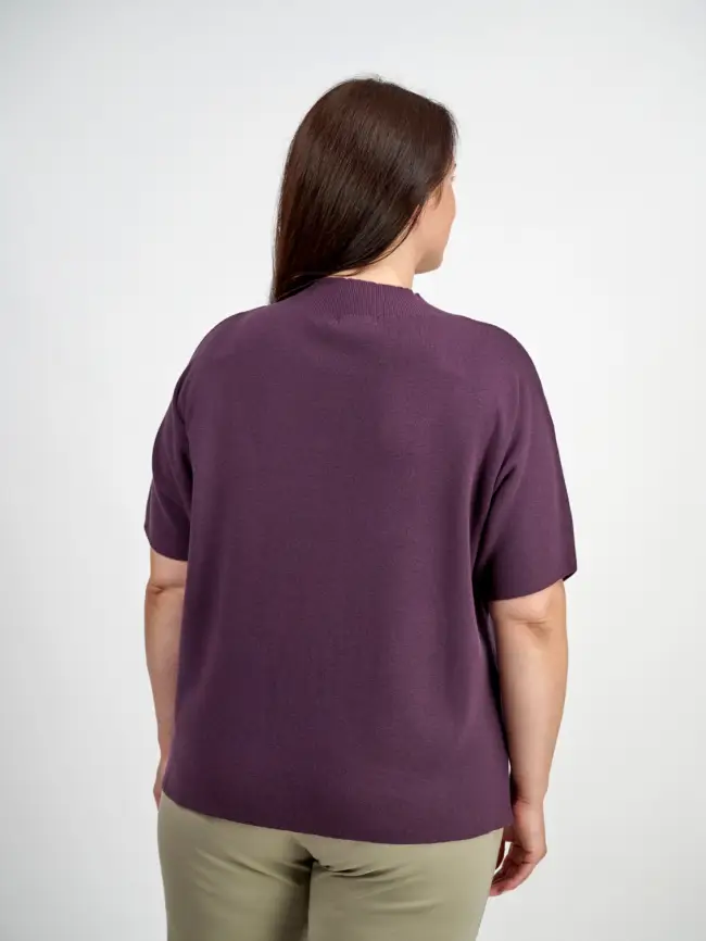 Джемпер короткий рукав ЭттоПлюс 707 Размер 50-58 фото 117