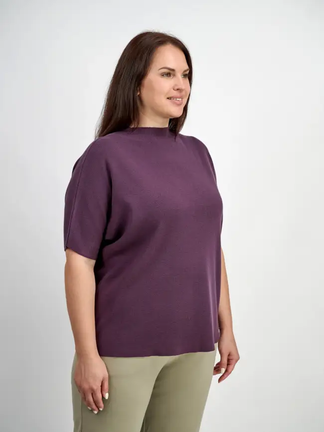 Джемпер короткий рукав ЭттоПлюс 707 Размер 50-58 фото 113