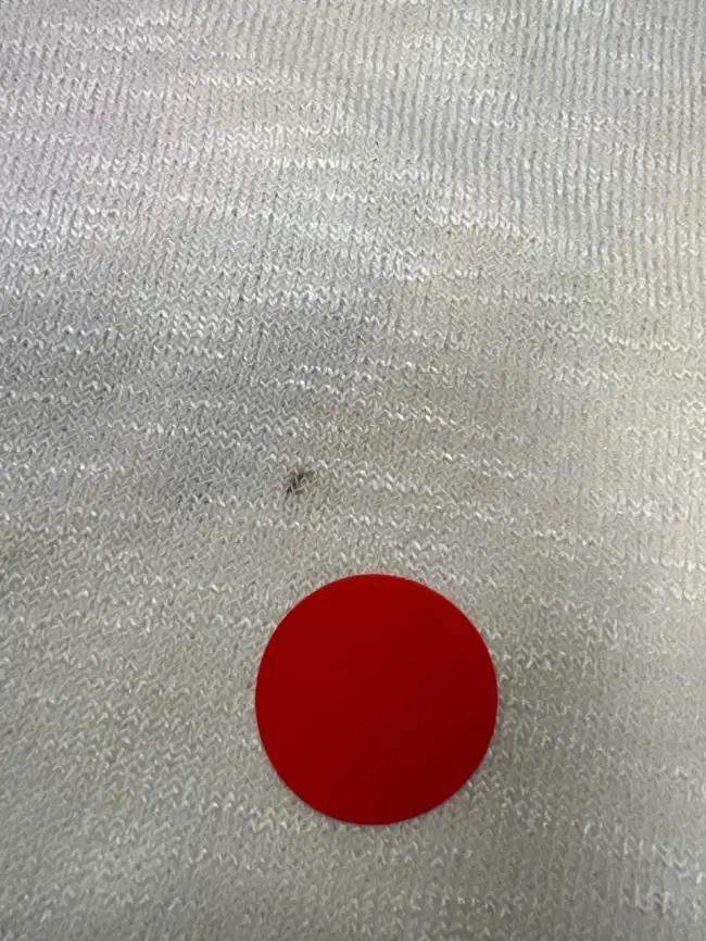 Джемпер облегченный с принтом 1006 (слоновая кость)Уценка фото 2